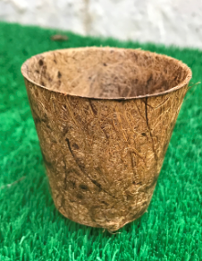 Coir America 2 inch Round Coir Pot