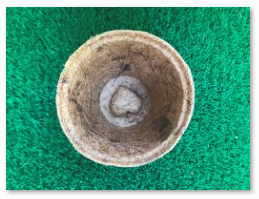 Coir America 3 inch Round Coir Pot