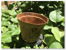 Coir America 4 inch Round Coir Pot with Coco Disc