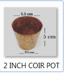 2 Inch Coco Coir